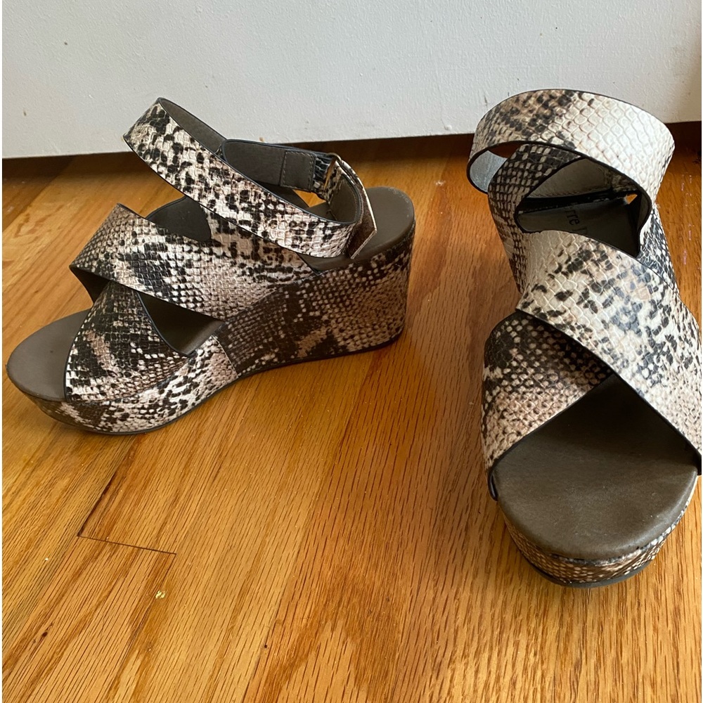 Pierre Dumas wedge